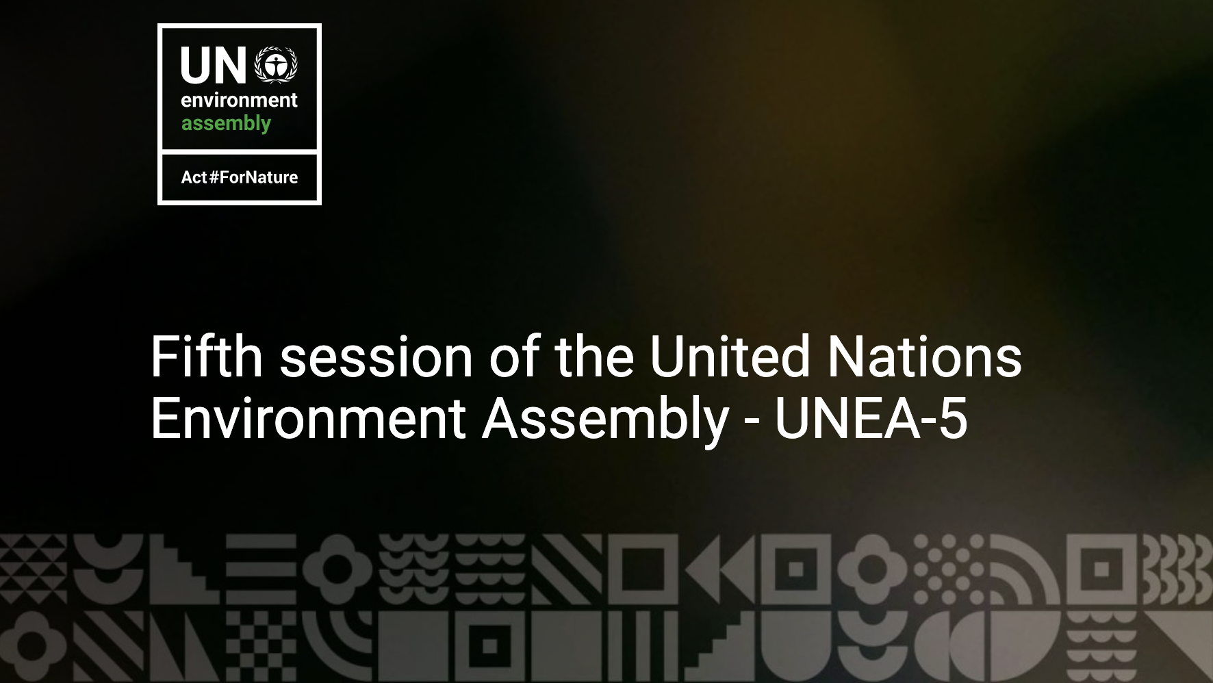 UNEA 5.2 Cities Summit | Global Taskforce